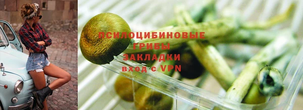 spice Арсеньев