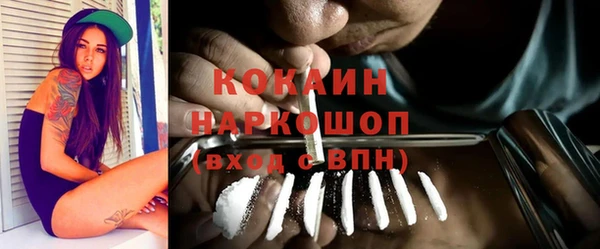 spice Арсеньев