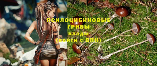 дурь Алексеевка