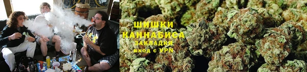 spice Арсеньев